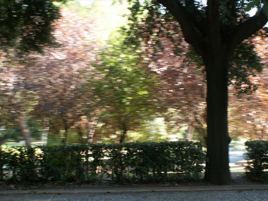 PICT5034