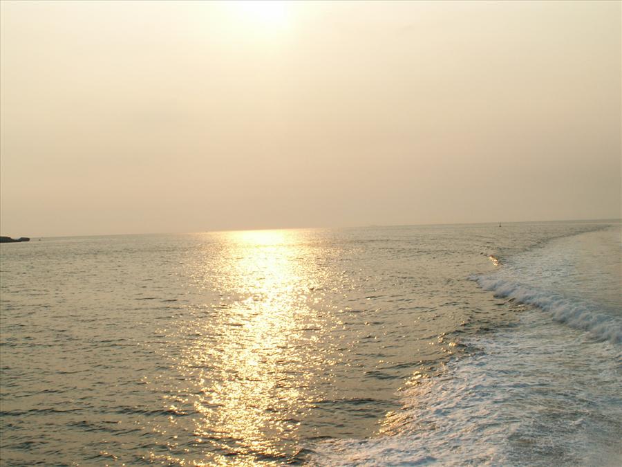 PICT5220